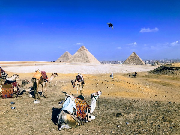 Day Trip To Giza Pyramids, Sakkara and Dahshur