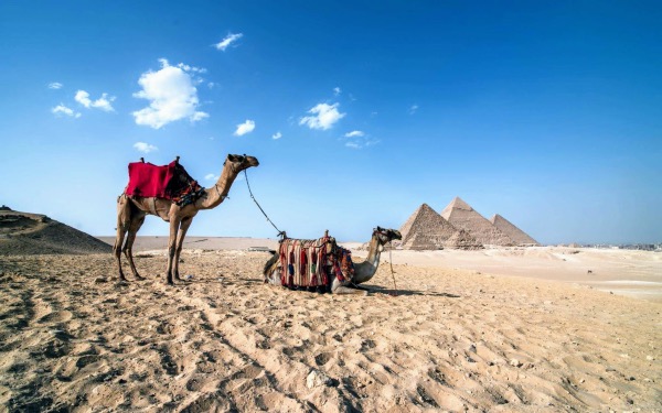 tour to pyramids with camel ride