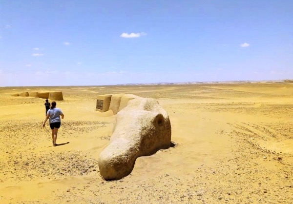 fayoum tour - wadi hitan