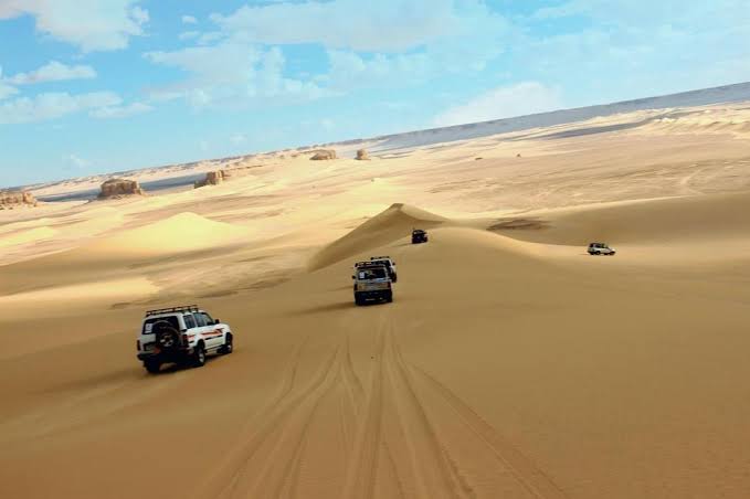 Fayoum safari trip with egypt wonders tours